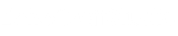 Echo Craft Studio